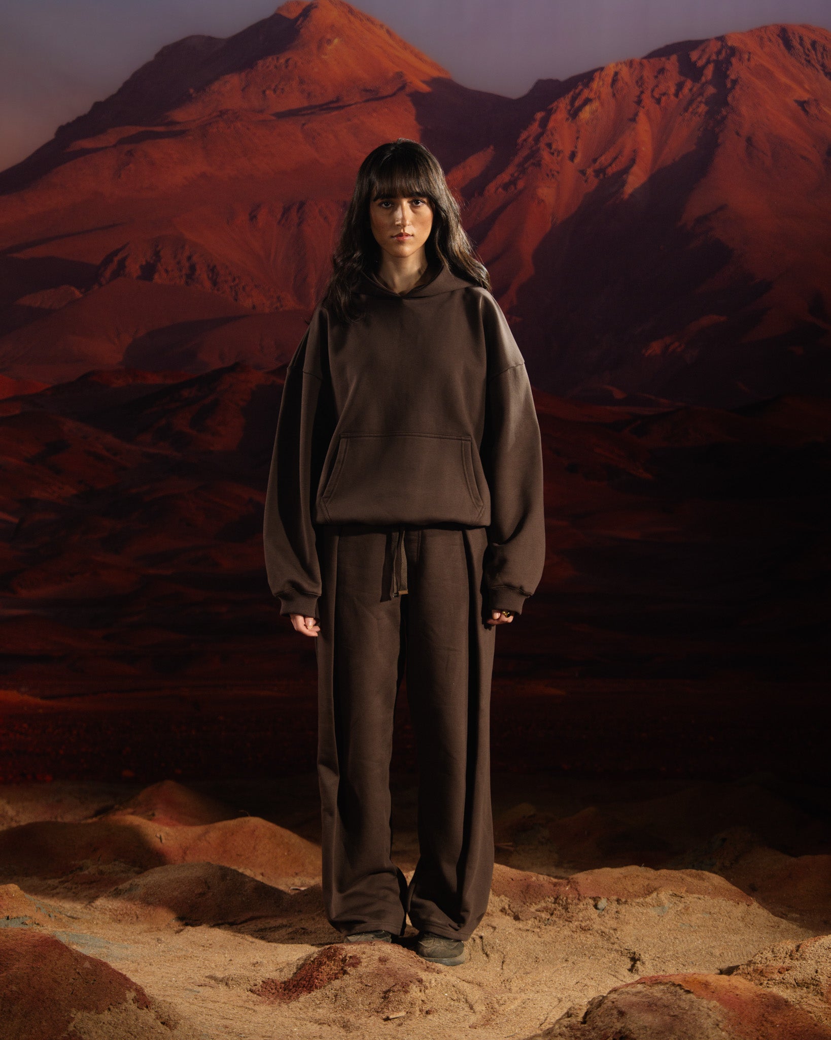 FORM 1 HOODIE (BROWN)