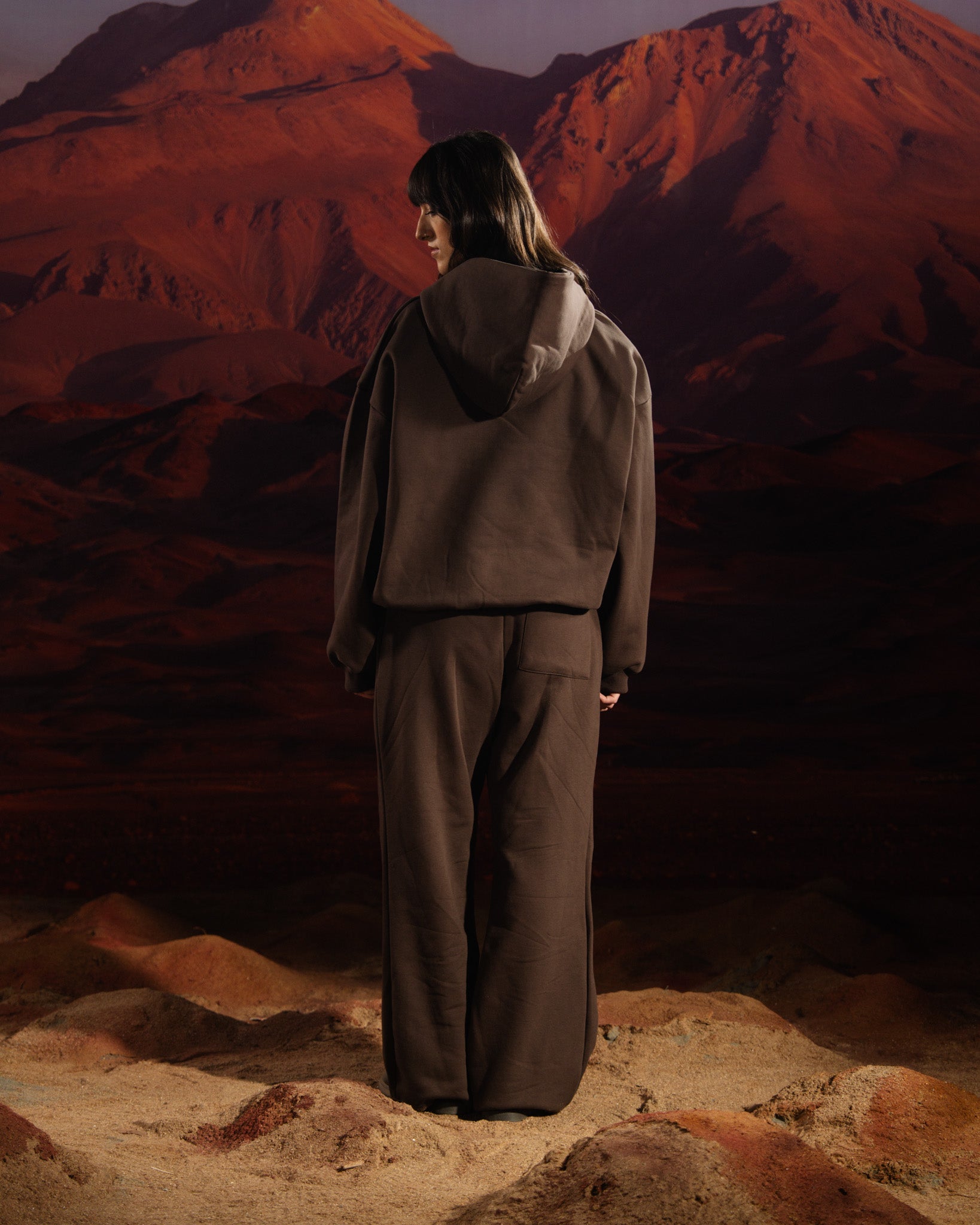 FORM 1 HOODIE (BROWN)